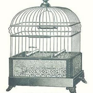 Ornate Green Bird Cage B - Art Print