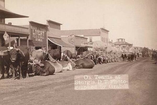 Ox Teams in the Dakota Territory by John C.H. Grabill - Art Print