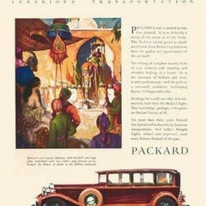 Packard - Art Print