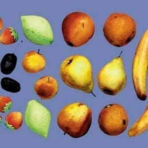 Painted Fruit - Art Print