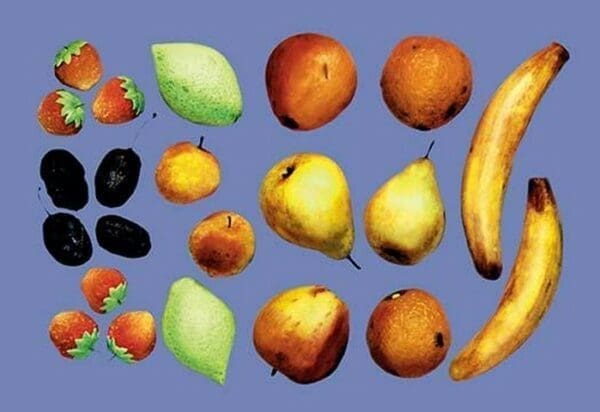 Painted Fruit - Art Print