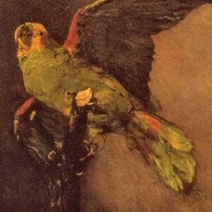 Parrot by Vincent van Gogh - Art Print