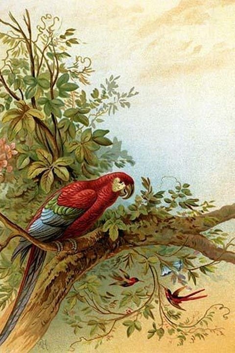 Parrot in a tree above Hummingbirds by Anton Hochstein - Art Print