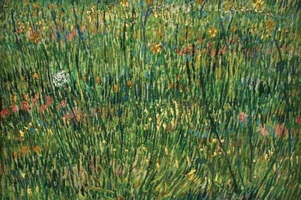 Patch of Grass by Vincent van Gogh - Art Print