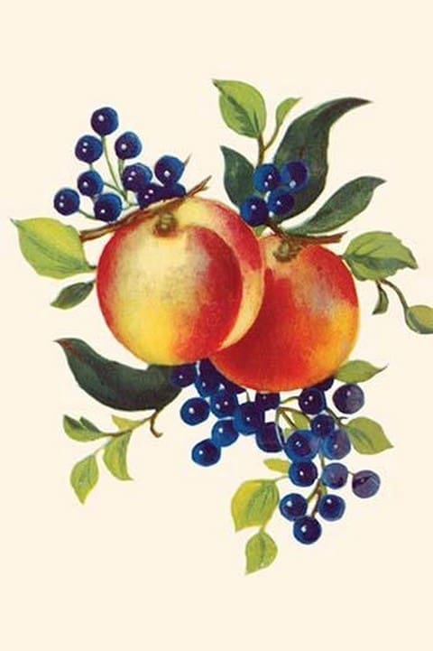 Peaches & Blueberries - Art Print