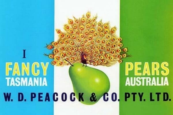 Peacock Pears - Art Print