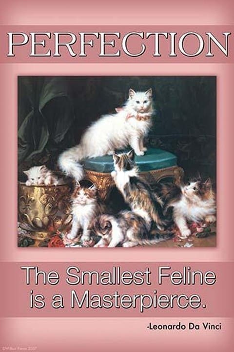 Perfection; The Smallest Feline is a Masterpiece by Wilbur Pierce - Art Print