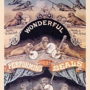 Pikes Wonderful Performing Seals - Art Print