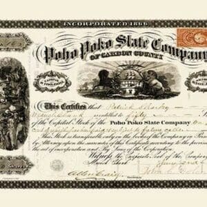 Poho Poko Slate Company Stock - Art Print