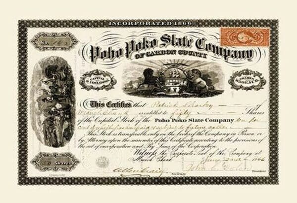 Poho Poko Slate Company Stock - Art Print