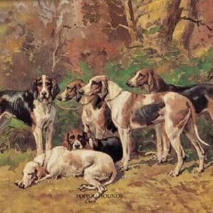 Poitou Hounds by Baron Karl Reille - Art Print