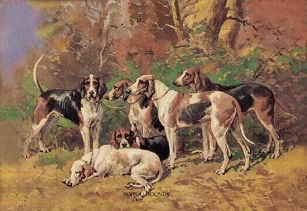 Poitou Hounds by Baron Karl Reille - Art Print