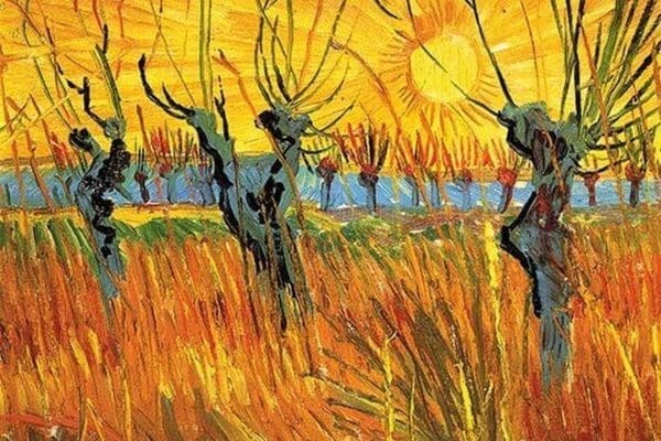 Pollard Willows at Sunset by Vincent van Gogh - Art Print