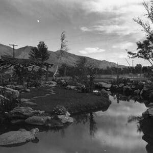 Pool in Pleasure Park by Ansel Adams - Art Print