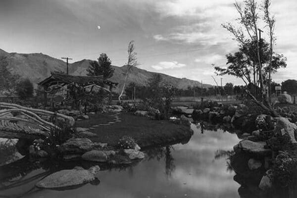 Pool in Pleasure Park by Ansel Adams - Art Print