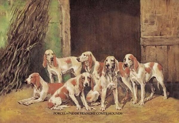 Porcelaine or Franche Comet Hounds by Baron Karl Reille - Art Print