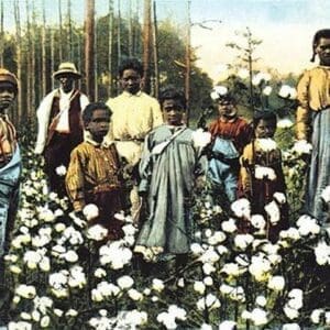 Portrait of Cotton Field Workers - Art Print