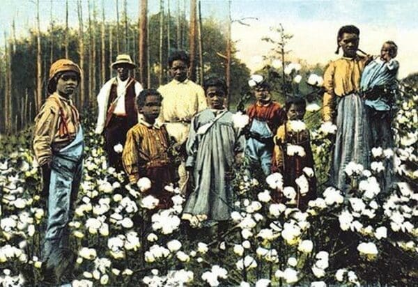 Portrait of Cotton Field Workers - Art Print