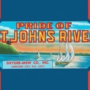 Pride of St. Johns River - Art Print