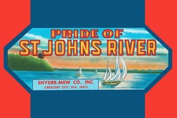 Pride of St. Johns River - Art Print