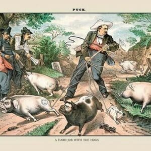 Puck Magazine: A Hard Job with the Hogs by Bernhard Gillam - Art Print