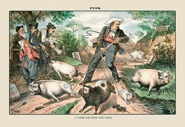 Puck Magazine: A Hard Job with the Hogs by Bernhard Gillam - Art Print