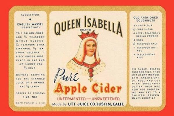 Queen Isabella Pure Apple Cider - Art Print