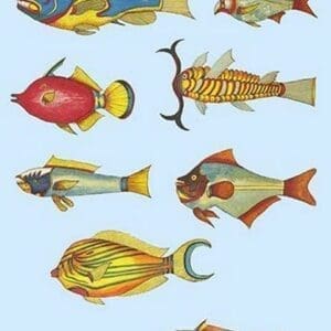 Rarest Curiosities of the Fish of the Indies by Louis Renard 0 - Art Print