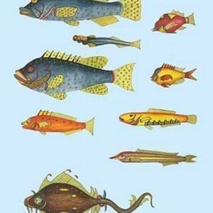 Rarest Curiosities of the Fish of the Indies by Louis Renard #20 - Art Print