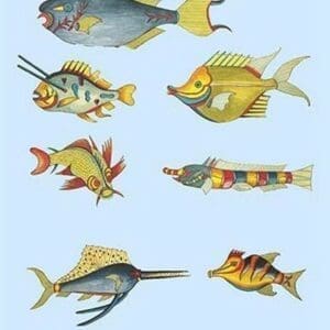 Rarest Curiosities of the Fish of the Indies by Louis Renard #26 - Art Print