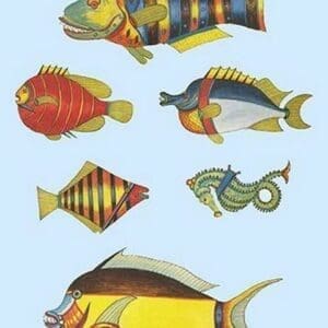 Rarest Curiosities of the Fish of the Indies by Louis Renard #29 - Art Print