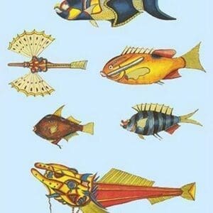 Rarest Curiosities of the Fish of the Indies by Louis Renard #3 - Art Print