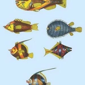 Rarest Curiosities of the Fish of the Indies by Louis Renard #30 - Art Print