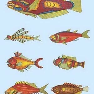 Rarest Curiosities of the Fish of the Indies by Louis Renard #31 - Art Print