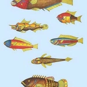 Rarest Curiosities of the Fish of the Indies by Louis Renard #33 - Art Print