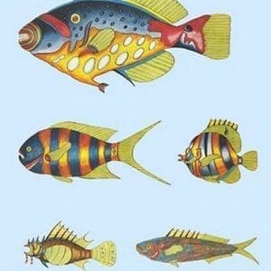 Rarest Curiosities of the Fish of the Indies by Louis Renard #35 - Art Print