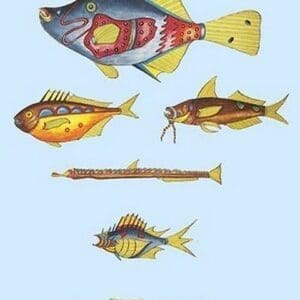 Rarest Curiosities of the Fish of the Indies by Louis Renard #39 - Art Print