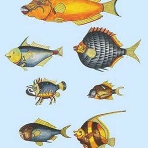 Rarest Curiosities of the Fish of the Indies by Louis Renard #4 - Art Print