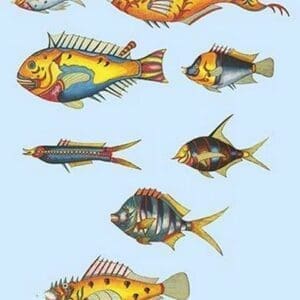 Rarest Curiosities of the Fish of the Indies by Louis Renard 4 - Art Print