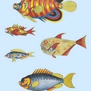 Rarest Curiosities of the Fish of the Indies by Louis Renard #40 - Art Print