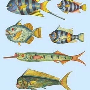 Rarest Curiosities of the Fish of the Indies by Louis Renard #45 - Art Print