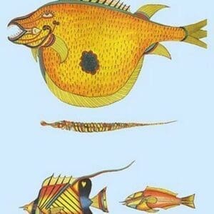 Rarest Curiosities of the Fish of the Indies by Louis Renard #46 - Art Print