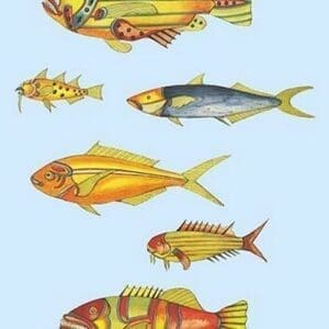 Rarest Curiosities of the Fish of the Indies by Louis Renard #47 - Art Print