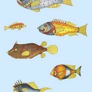 Rarest Curiosities of the Fish of the Indies by Louis Renard #49 - Art Print