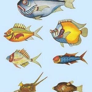 Rarest Curiosities of the Fish of the Indies by Louis Renard #5 - Art Print