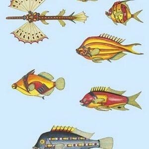 Rarest Curiosities of the Fish of the Indies by Louis Renard 5 - Art Print