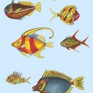 Rarest Curiosities of the Fish of the Indies by Louis Renard 7 - Art Print