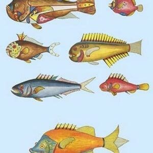 Rarest Curiosities of the Fish of the Indies by Louis Renard #9 - Art Print