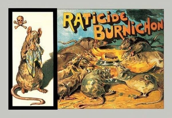 Raticide Burnichon by Theophile Alexandre Steinlen - Art Print