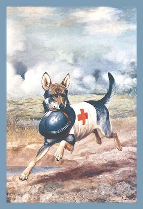 Red Cross Dog by Alexander Pope - Art Print